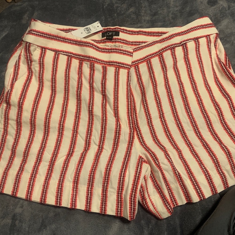 Loft shorts